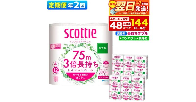 【ふるさと納税】《6ヶ月ごとに2回お届け》定期便 トイレットペーパー スコッティ フラワーパック 3倍長持ち〈無香料〉4ロール(ダブル)×12パック 最短翌日発送【レビューキャンペーン中】