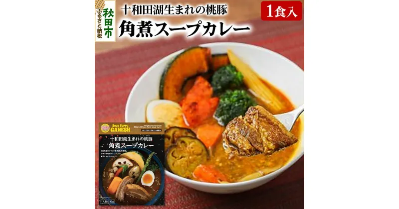 【ふるさと納税】桃豚角煮スープカレー（1食分）