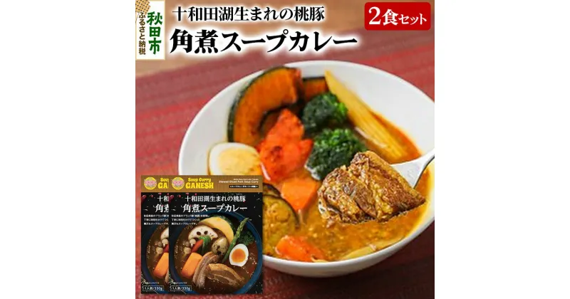 【ふるさと納税】桃豚角煮スープカレー（1食分）×2個