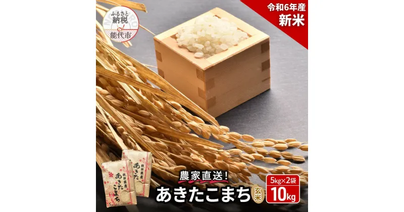 【ふるさと納税】新米 玄米 農家直送！うまい!! 本場のあきたこまち 10kg（5kg×2袋）　 お米 ブランド米 銘柄米 ご飯 おにぎり お弁当 和食 産地直送 　お届け：2024年10月中旬～下旬頃より順次発送予定