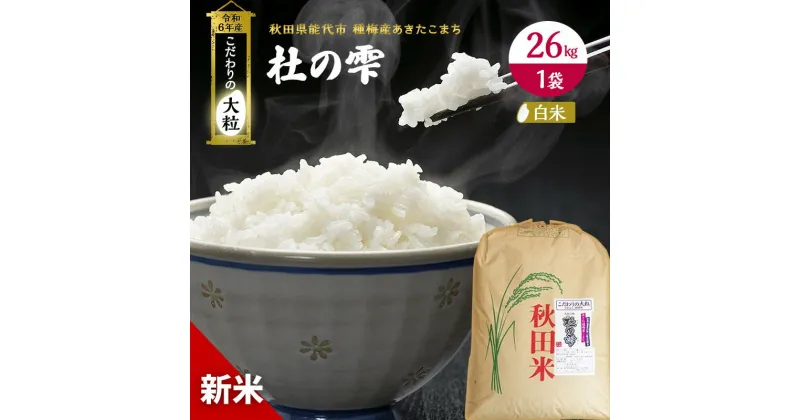 【ふるさと納税】【精米】秋田県産 あきたこまち 26kg×1袋 あきた種梅産こまち 杜の雫 こだわりの大粒 令和5年産　 お米 ブランド米 ご飯 おにぎり お弁当 産地直送 　お届け：入金確認後、2週間～1か月程度でお届けします。