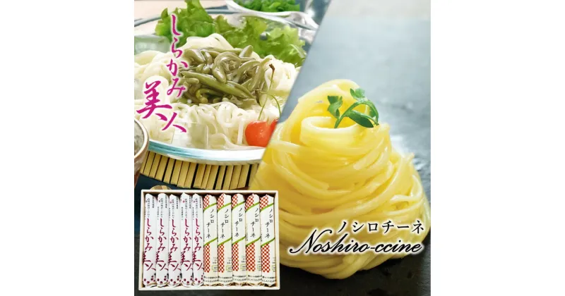 【ふるさと納税】能代うどん 和風パスタ 食べ比べ 乾麺 2種 詰合せ 「しらかみ美人」「ノシロチーネ」各5束 セット　 麺類 麺食べ比べ ツルツル食感 なめらか モチモチ食感 早ゆでパスタ 　お届け：入金確認後、2週間～1か月程度でお届けします。