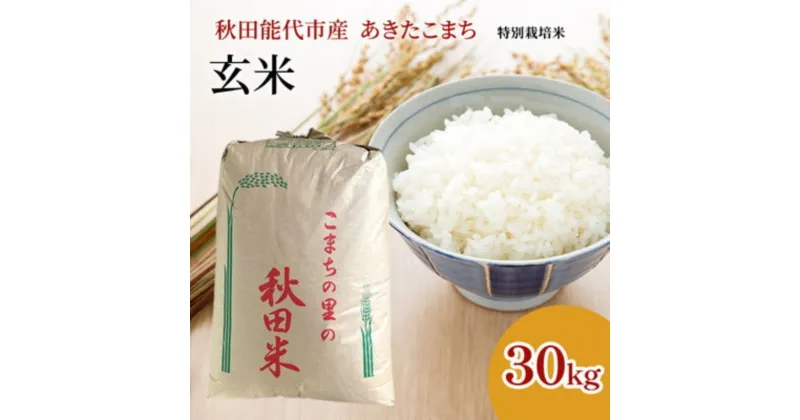 【ふるさと納税】【玄米】秋田県認証 特別栽培米 あきたこまち 30kg 秋田県産 令和6年産　 お米 銘柄米 ブランド米 ごはん 　お届け：ご入金確認後、2週間～1か月程度でお届けします。