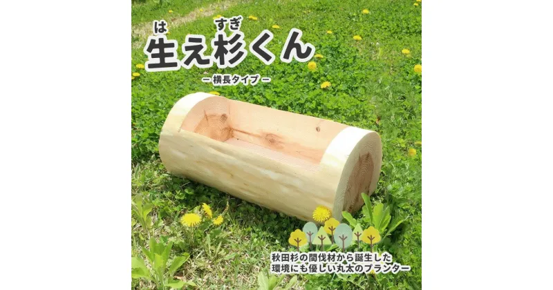 【ふるさと納税】里山くらし応援 木工品 秋田杉の丸太プランター「生え杉くん（はえすぎくん）」横長タイプ　 雑貨 日用品 ガーデニング用品 木製プランター 手作り 　お届け：入金確認後、2週間～1か月程度でお届けします。