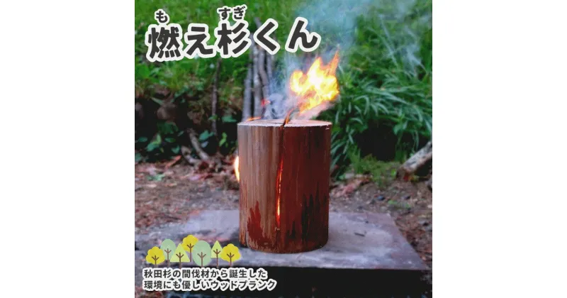 【ふるさと納税】里山くらし応援 木工品 秋田杉のスウェーデントーチ「燃え杉くん（もえすぎくん）」　 雑貨 日用品 アウトドア キャンプ 　お届け：入金確認後、2週間～1か月程度でお届けします。