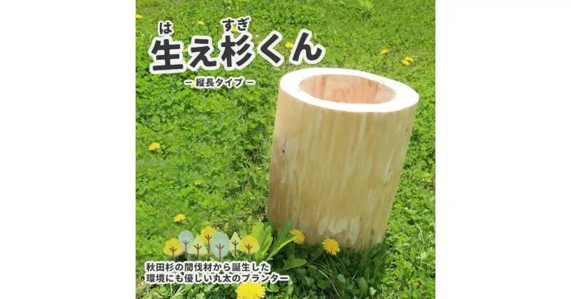 【ふるさと納税】里山くらし応援 木工品 秋田杉の丸太プランター「生え杉くん（はえすぎくん）」縦長タイプ　 雑貨 日用品 ガーデニング用品 木製プランター 手作り 　お届け：入金確認後、2週間～1か月程度でお届けします。