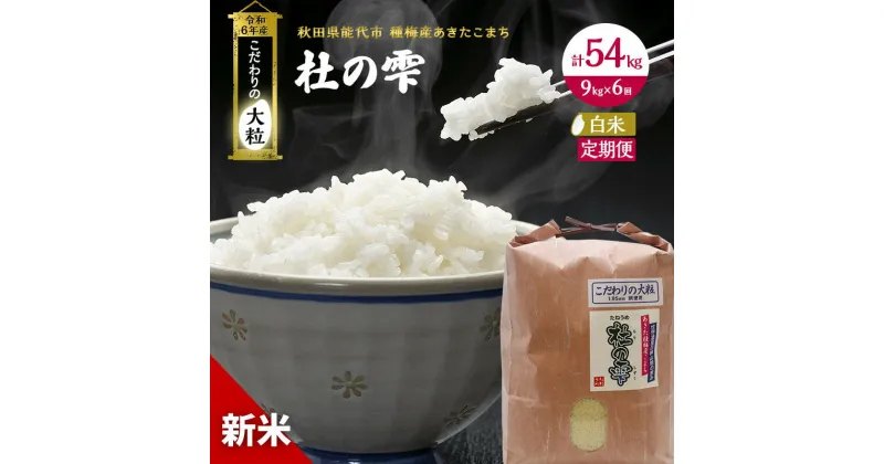 【ふるさと納税】《定期便6ヶ月》【白米】秋田県産 あきたこまち あきた種梅産こまち 杜の雫 こだわりの大粒 9kg×6回 合計54kg　定期便・お米 白米 定期便 　お届け：入金確認後、翌月中旬頃にお届け。以降、毎月中旬頃、6ヶ月連続でお届けします。