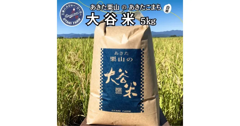 【ふるさと納税】新米 精米 令和6年産 あきた栗山 大谷米 あきたこまち 5kg 秋田県産 あきたこまち オータニファーム　お届け：ご入金確認後、2週間～1か月程度でお届けします。