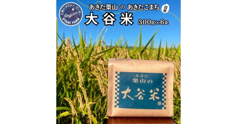 【ふるさと納税】新米 精米 令和6年産 あきた栗山 大谷米 あきたこまち 300g×6袋 合計1.6kg 秋田県産 あきたこまち オータニファーム　お届け：ご入金確認後、2週間～1か月程度でお届けします。