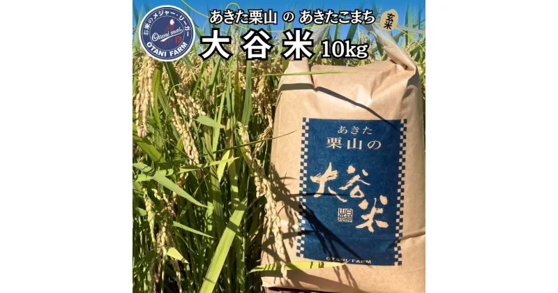 【ふるさと納税】新米 玄米 令和6年産 あきた栗山 大谷米 あきたこまち 10kg 秋田県産 あきたこまち オータニファーム　お届け：ご入金確認後、2週間～1か月程度でお届けします。