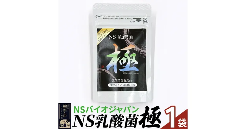 【ふるさと納税】NS乳酸菌「極」(横手市特別パッケージ) 1パック ゆうパケット