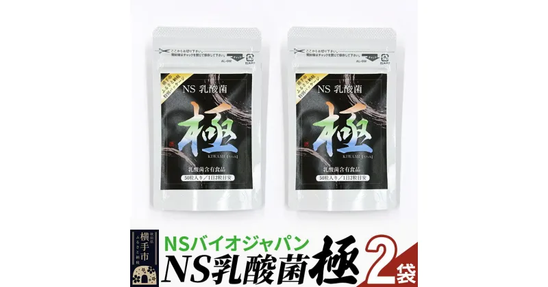 【ふるさと納税】NS乳酸菌「極」(横手市特別パッケージ) 2パック ゆうパケット