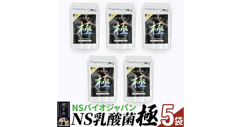 【ふるさと納税】NS乳酸菌「極」(横手市特別パッケージ) 5パック ゆうパケット