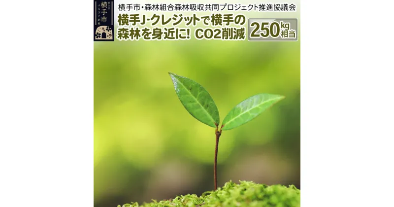 【ふるさと納税】横手J‐クレジットで横手の森林を身近に! CO2削減 250kg相当