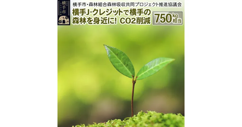 【ふるさと納税】横手J‐クレジットで横手の森林を身近に! CO2削減 750kg相当