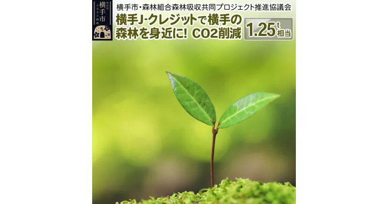 【ふるさと納税】横手J‐クレジットで横手の森林を身近に! CO2削減 1.25t相当