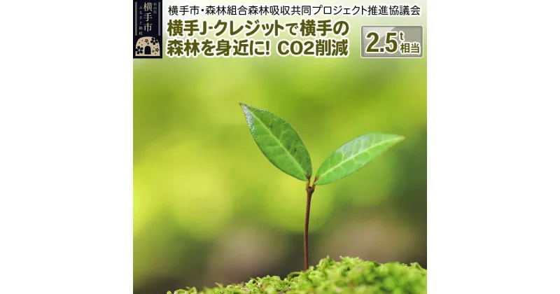 【ふるさと納税】横手J‐クレジットで横手の森林を身近に! CO2削減 2.5t相当