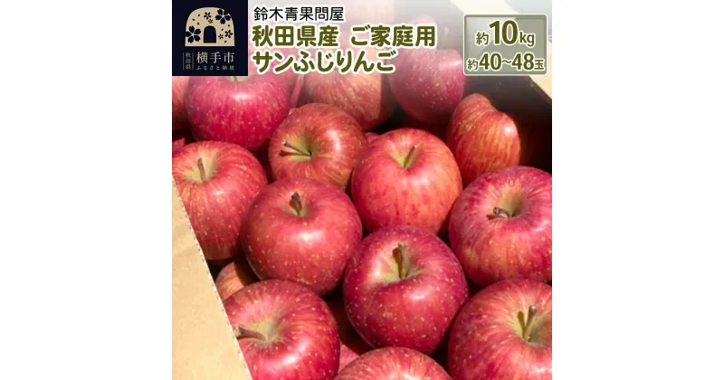 【ふるさと納税】【訳あり】秋田県産 ご家庭用 サンふじりんご 約10kg(40玉〜48玉前後)【簡易梱包での発送】