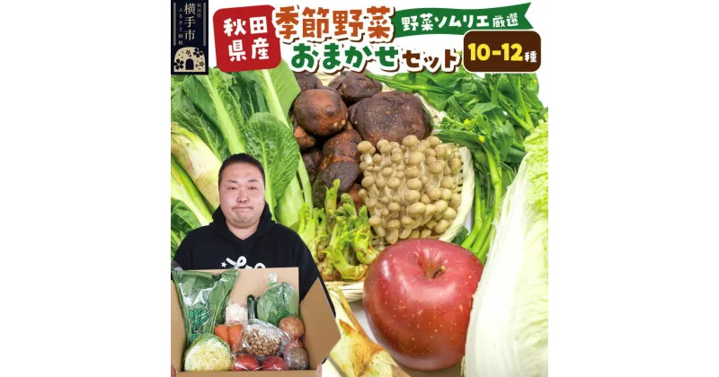 【ふるさと納税】和泉青果六代目が選ぶ 秋田の季節野菜おまかせセット 10～12品目