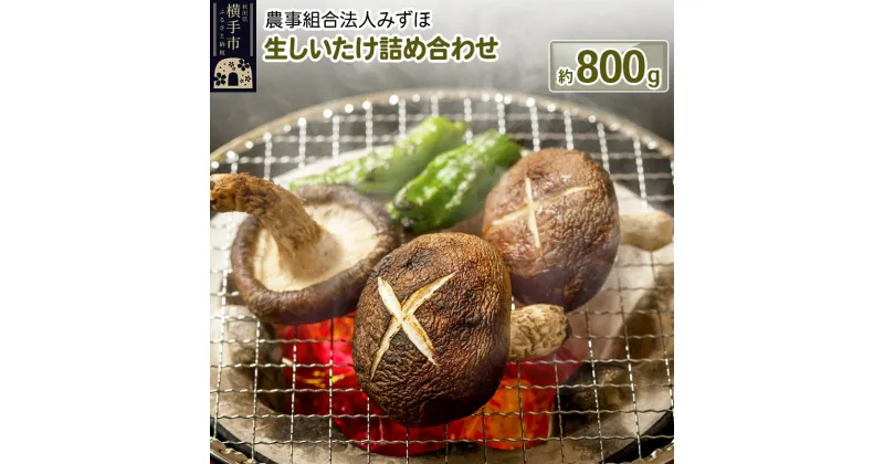 【ふるさと納税】生しいたけ詰め合わせ 800g