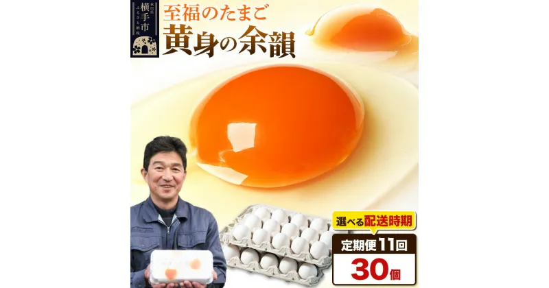 【ふるさと納税】《定期便11ヶ月》黄身の余韻 30個（業務用）【発送時期が選べる】11か月 11ヵ月 11カ月 11ケ月 卵 玉子 たまご 開始時期選べる