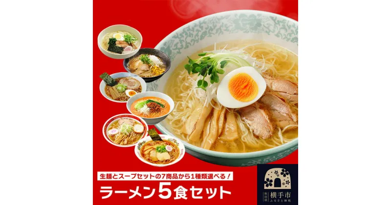 【ふるさと納税】選べる林泉堂のラーメン（麺＆スープ） 5食 比内地鶏 塩ラーメン 旨味噌ラーメン コク醤油ラーメン 十文字ラーメン 担々麺 中華そば ネコポス