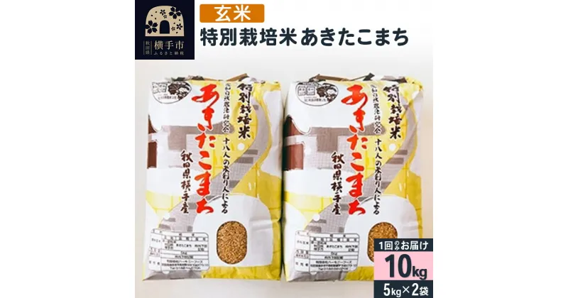 【ふるさと納税】【玄米】令和6年産 特別栽培米 あきたこまち 10kg（5kg×2袋）