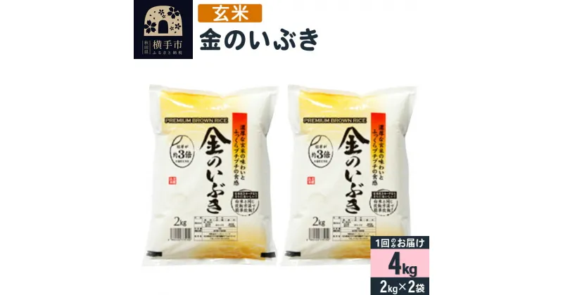 【ふるさと納税】【令和5年産】【玄米】令和5年産 金のいぶき 4kg(2kg×2袋)