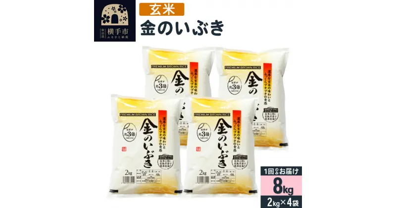 【ふるさと納税】【令和5年産】【玄米】令和5年産 金のいぶき 8kg(2kg×4袋)