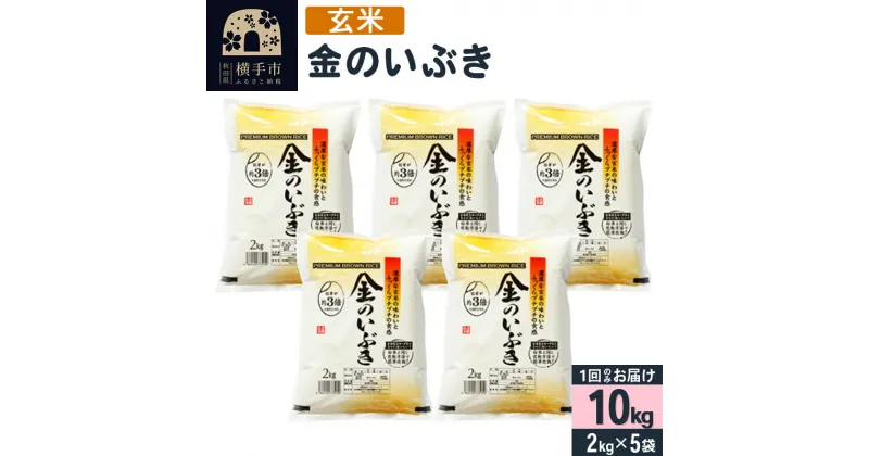 【ふるさと納税】【玄米】令和6年産 金のいぶき 10kg（2kg×5袋）