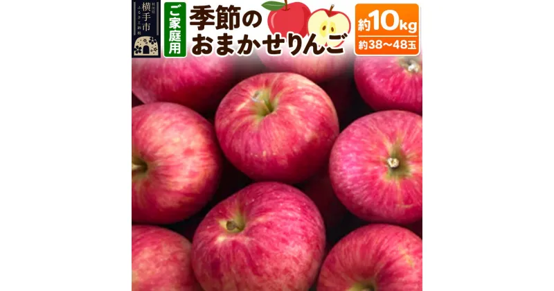 【ふるさと納税】【訳あり】秋田県産 ご家庭用 季節のおまかせりんごシリーズ 約10kg(約38玉〜48玉前後)【簡易梱包での発送】