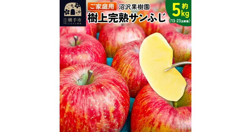 【ふるさと納税】樹上完熟サンふじ ご家庭用 約5kg（13〜23玉前後）