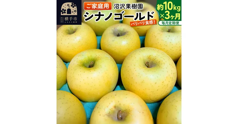 【ふるさと納税】《定期便3ヶ月》パリパリ食感シナノゴールド ご家庭用 約10kg（1回28〜46玉前後）×3回 計30kg 3か月 3ヵ月 3カ月 3ケ月