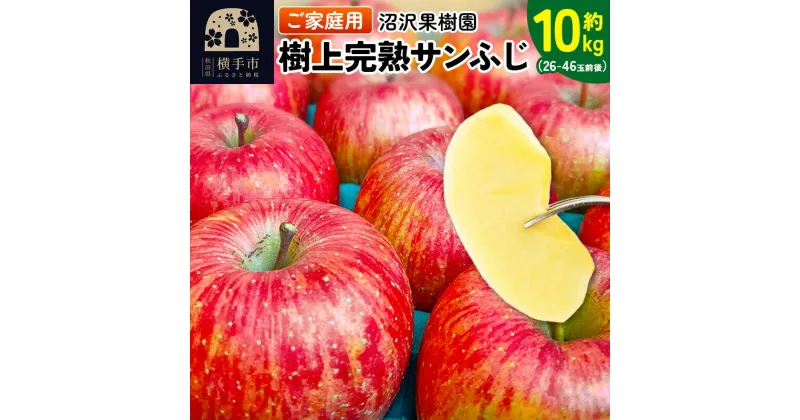 【ふるさと納税】樹上完熟サンふじ ご家庭用 約10kg（26〜46玉前後）