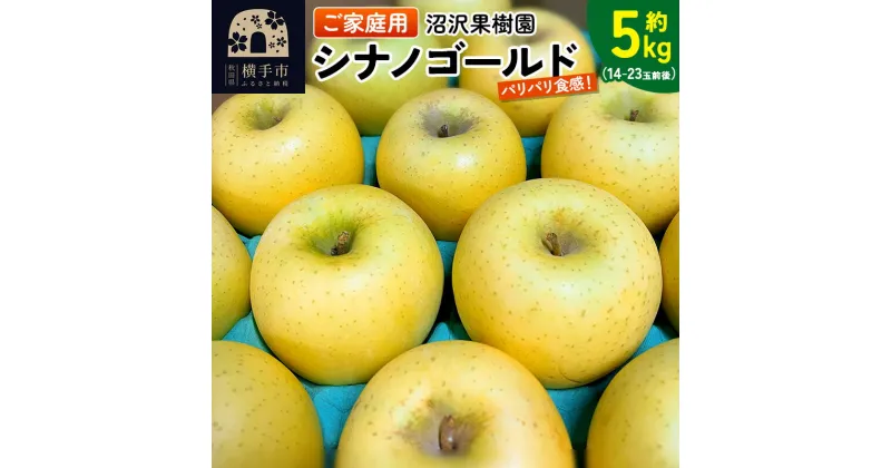 【ふるさと納税】パリパリ食感シナノゴールド ご家庭用 約5kg（14〜23玉前後）