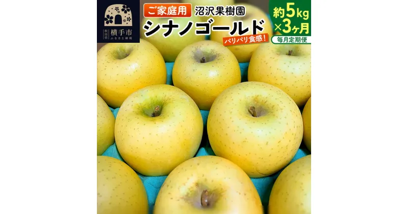 【ふるさと納税】《定期便3ヶ月》パリパリ食感シナノゴールド ご家庭用 約5kg（14〜23玉前後）×3回 計15kg 3か月 3ヵ月 3カ月 3ケ月