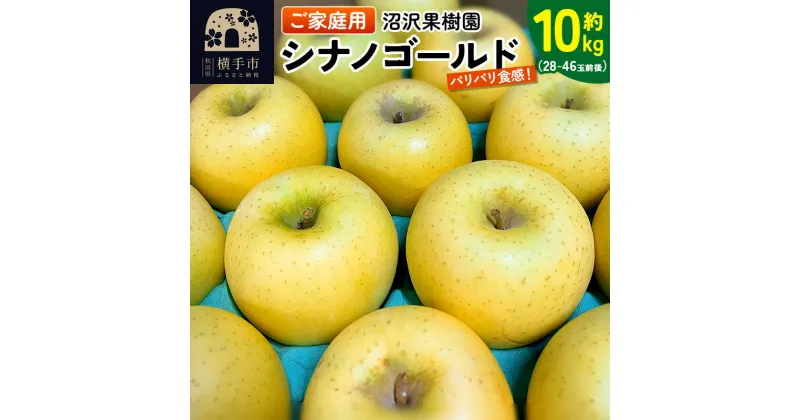 【ふるさと納税】パリパリ食感シナノゴールド ご家庭用 約10kg（28〜46玉前後）