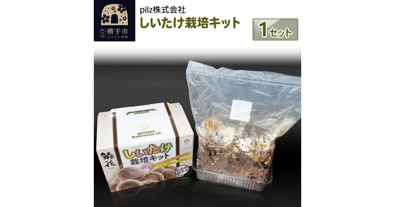 【ふるさと納税】ご自宅でブランド椎茸を栽培！しいたけ栽培キット