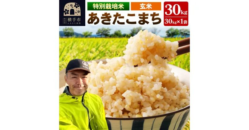 【ふるさと納税】秋田県 横手市 【玄米】令和6年産 特別栽培米 あきたこまち 30kg（30kg×1袋）