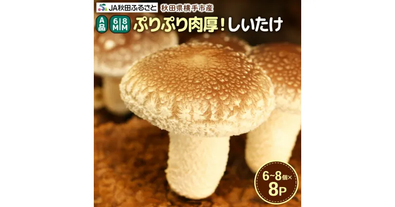 【ふるさと納税】しいたけ A級品 Mサイズ 約800g(約100g(6～8個入)×8パック)