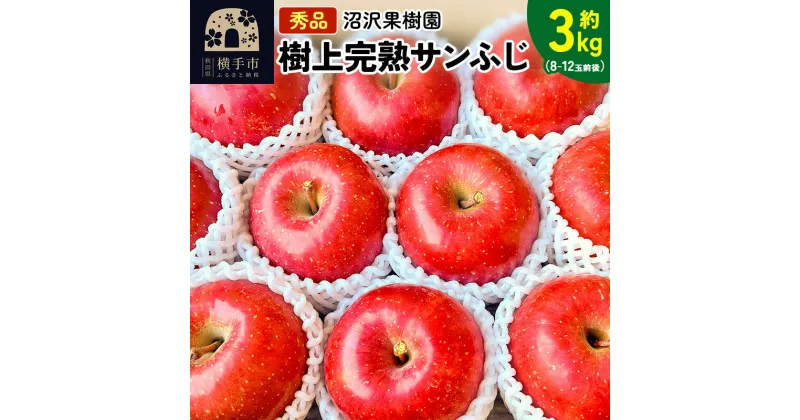 【ふるさと納税】贈り物にもおすすめ！サンフジ 秀品 約3kg（8〜12玉前後）