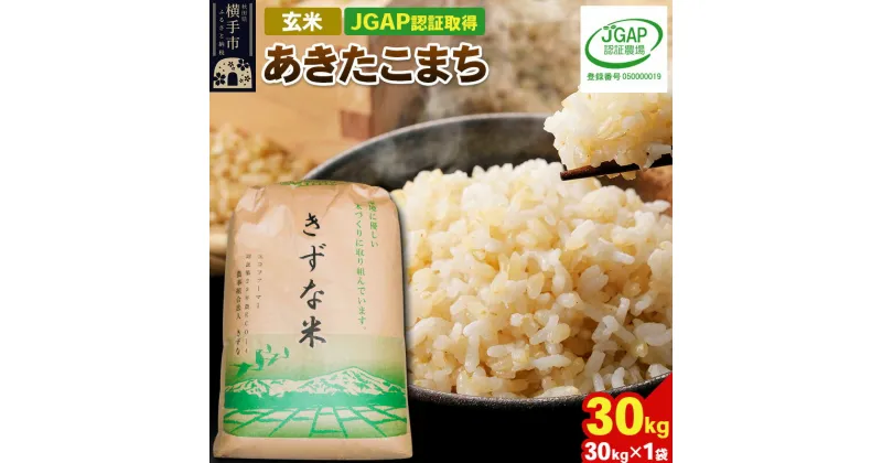 【ふるさと納税】【玄米】令和6年産新米 秋田県産 あきたこまち 30kg(30kg×1袋) 【JGAP認証】【秋田県特別栽培農産物認証】