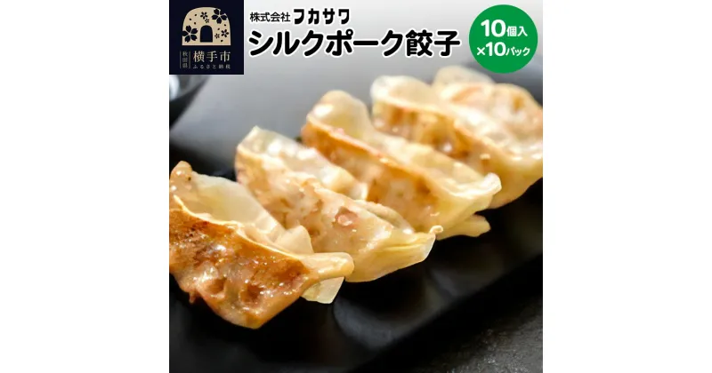 【ふるさと納税】シルクポーク餃子 10個入×10パック