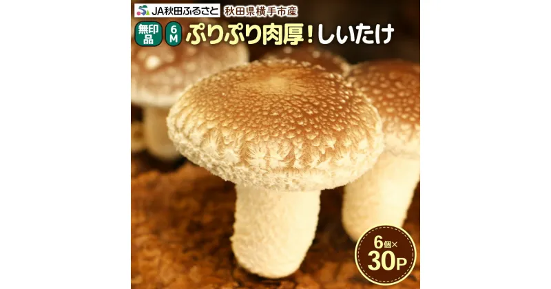 【ふるさと納税】しいたけ 無印品 6M（約100g）×30パック