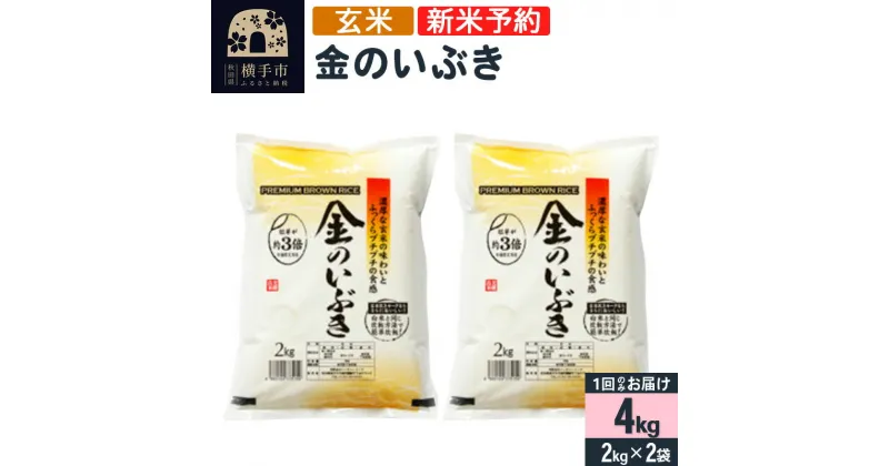 【ふるさと納税】【令和6年産新米予約】【玄米】金のいぶき 4kg（2kg×2袋）