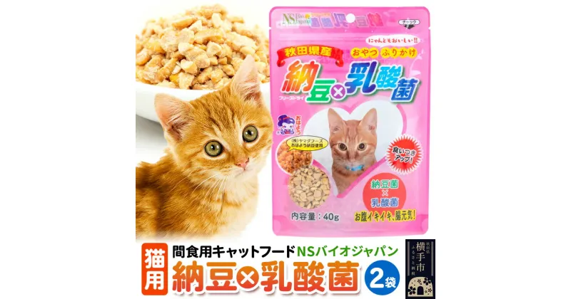 【ふるさと納税】間食用キャットフード 納豆×乳酸菌（猫用）2袋 ゆうパケット