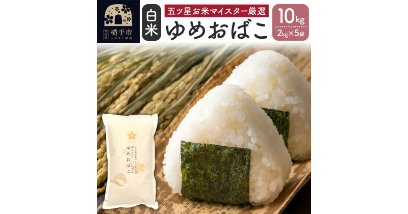 【ふるさと納税】【令和6年産新米】【白米】ゆめおばこ 10kg(2kg×5袋)