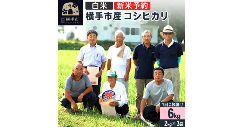 【ふるさと納税】【令和6年産新米予約】【白米】横手産コシヒカリ 6kg（2kg×3袋）