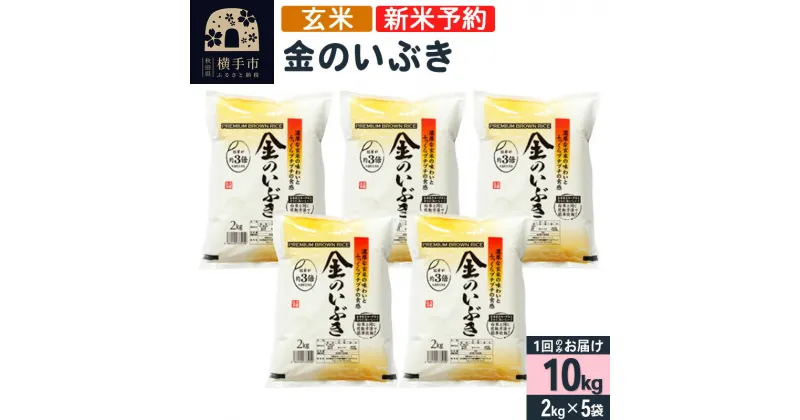 【ふるさと納税】【令和6年産新米予約】【玄米】金のいぶき 10kg（2kg×5袋）新米予約 10キロ