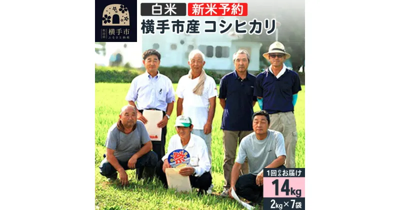 【ふるさと納税】【令和6年産新米予約】【白米】横手産コシヒカリ 14kg（2kg×7袋）